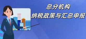 国家税务局：总分机构纳税政策与汇总申报
